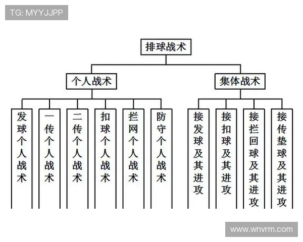 上海排球队的战术解析与控制体系的深度剖析与实践应用